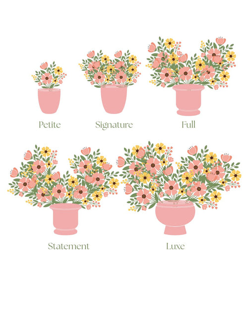 Designer's Choice - Low & Lush